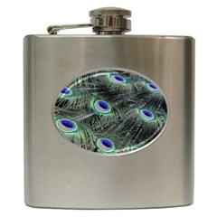 Plumage Peacock Feather Colorful Hip Flask (6 Oz) by Sapixe