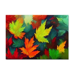 Leaves Foliage Autumn Nature Forest Fall Sticker A4 (10 Pack)