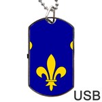 Ile De France Flag Dog Tag USB Flash (Two Sides) Front