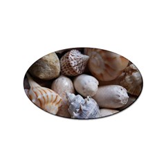 Beautiful Seashells  Sticker Oval (100 Pack)