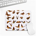 Butterfly Butterflies Insect Swarm Small Mousepad Front