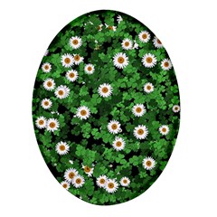 Daisies Clovers Lawn Digital Drawing Background Oval Glass Fridge Magnet (4 Pack)