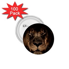 African-lion-mane-close-eyes 1 75  Buttons (100 Pack) 