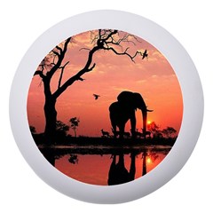 Elephant Landscape Tree Africa Sunset Safari Wild Dento Box With Mirror by Jatiart