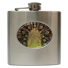 Peacock Feathers Wheel Plumage Hip Flask (6 Oz) by Ket1n9