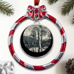 Dry Forest Landscape, Tierra Del Fuego, Argentina Metal Red Ribbon Round Ornament by dflcprintsclothing