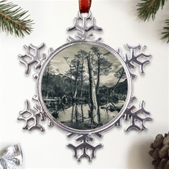 Dry Forest Landscape, Tierra Del Fuego, Argentina Metal Large Snowflake Ornament by dflcprintsclothing