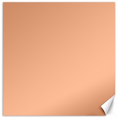 Peach Fuzz 2024 Canvas 12  X 12  by dressshop