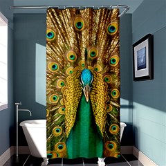 Peacock Feather Bird Peafowl Shower Curtain 36  X 72  (stall)  by Cemarart