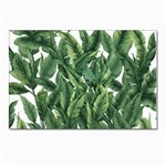 Tropical leaves Postcards 5  x 7  (Pkg of 10) Front