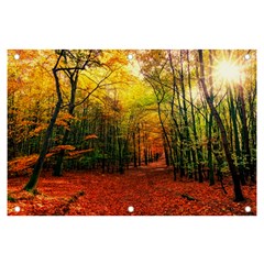 Forest Woods Autumn Nature Banner And Sign 6  X 4  by Proyonanggan