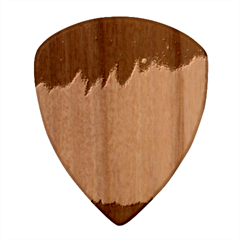 Northern Lights Green Aurora Borealis Wood Guitar Pick (set Of 10)