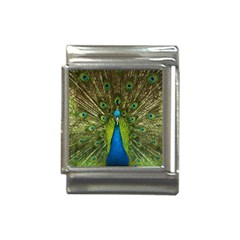 Peacock Feathers Bird Plumage Italian Charm (13mm) by Perong