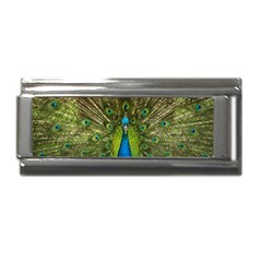 Peacock Feathers Bird Plumage Superlink Italian Charm (9mm) by Perong