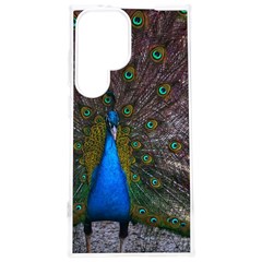 Bird Peacock Feathers Samsung Galaxy S24 Plus 6 7 Inch Tpu Uv Case