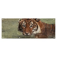 Swimming Tiger Banner And Sign 8  X 3  by ExtraAwesomeSauce