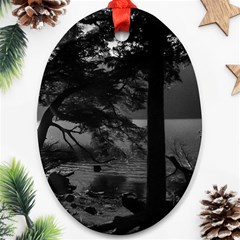 Los Alerces National Park Waterfront Landscape, Argentina002 Ornament (oval) by dflcprintsclothing