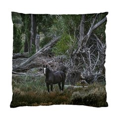 Meadow Landscape, Los Altares, Chubut Province, Argentina Standard Cushion Case (two Sides) by dflcprintsclothing