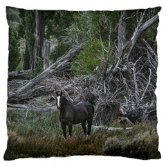 Meadow Landscape, Los Altares, Chubut Province, Argentina Large Cushion Case (two Sides) by dflcprintsclothing