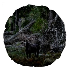 Meadow Landscape, Los Altares, Chubut Province, Argentina Large 18  Premium Round Cushions by dflcprintsclothing