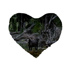 Meadow Landscape, Los Altares, Chubut Province, Argentina Standard 16  Premium Heart Shape Cushions by dflcprintsclothing