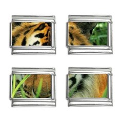 Tiger 9mm Italian Charm (4 Pack)