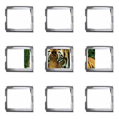 Tiger Mega Link Italian Charm (9 Pack) by ironman2222