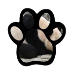 Giant Panda Magnet (Paw Print) Front