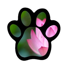 Pink Flowers Magnet (paw Print)