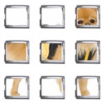 dog-photo Mega Link Italian Charm (9 pack) Front