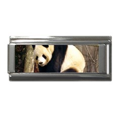 Giant Panda National Zoo Superlink Italian Charm (9mm)